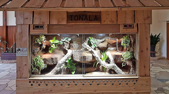 Das Halbfeucht-/Tropenterrarium im Vogelpark Schotten ist in einem Terrarienhaus in der Reptilienabteilung. Das Terrarium hat die Maße 300 x 70 x 100 cm. 