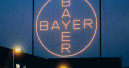 Bayer will sich von Tiergesundheit trennen