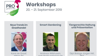 Vorträge und Workshops sind online