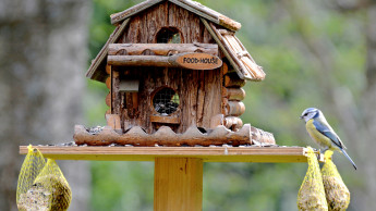 Ganzjahresfütterung auf dem Vormarsch Ganzjahresfütterung auf dem Vormarsch