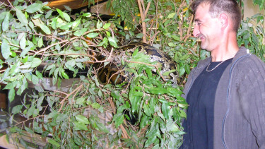 Zoo &Co.-Power in Erding