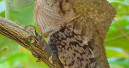 Symposium zur Terraristik