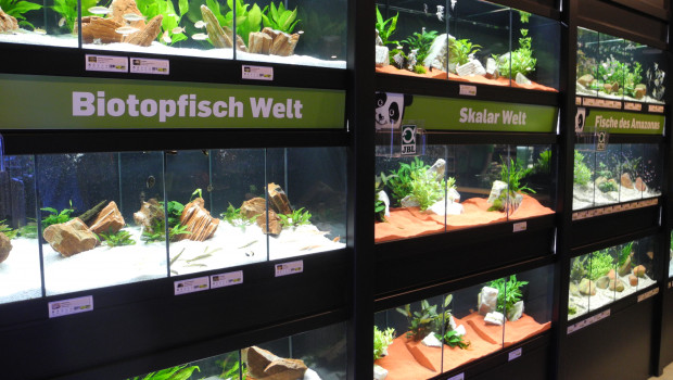 Aquaristik