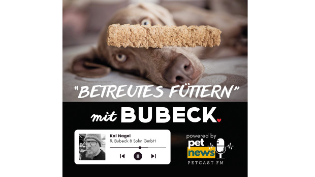 Bubeck Bubeck