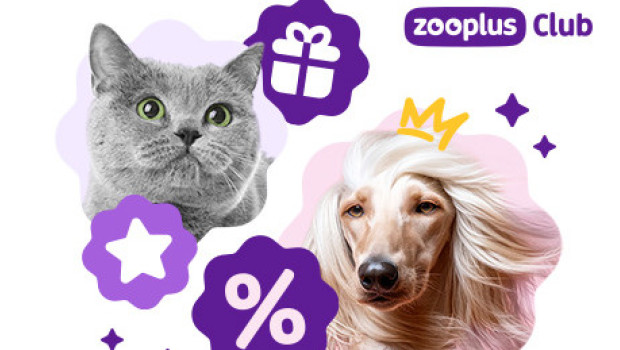 Zooplus, die Onlineplattform für Heimtierbedarf, hat sein Kundenloyalitätsprogramm einem Relaunch unterzogen. Zooplus, die Onlineplattform für Heimtierbedarf, hat sein Kundenloyalitätsprogramm einem Relaunch unterzogen.