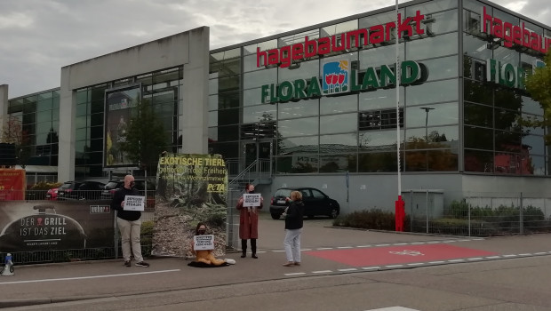 Auf dem Gehweg neben der Hagebau-Zufahrt hatten sich die Demonstranten aufgestellt.