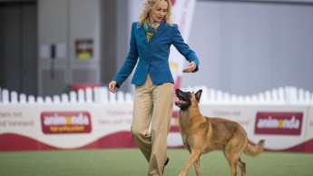 Hund & Pferd kehrt zurück