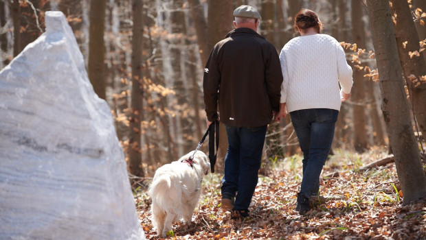 Die neue Fressnapf-Kooperation bietet die Möglichkeit, Heimtieren eine letzte Ruhestätte auf ausgewählten Wald- und Naturtierfriedhöfen von Paxnatura zu verschaffen.