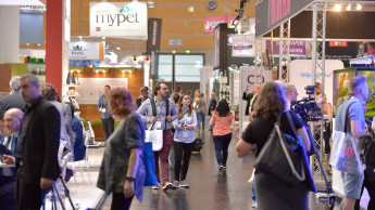 Messegeschäft bleibt schwierig Messegeschäft bleibt schwierig