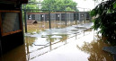 Hochwasser trifft auch den Zoofachhandel