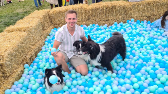 Open-Air-Event rund um den Hund Open-Air-Event rund um den Hund