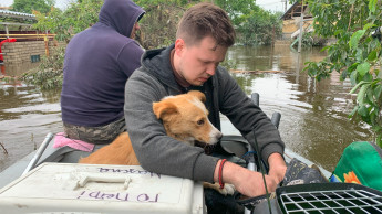 Hilfe für notleidende Tiere in der Ukraine