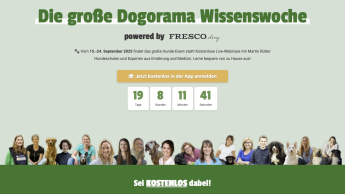 Wissenswoche bei Dogorama