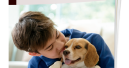 E-Magazin Hund