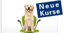 Neue Online-Kurse