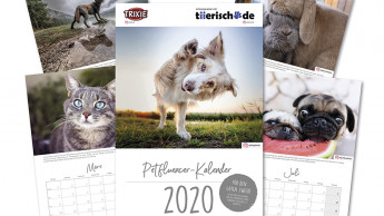 Ein Kalender für den guten Zweck!