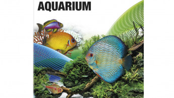 Der letzte Aquarium-Katalog 2017