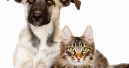 Neuer Katalog