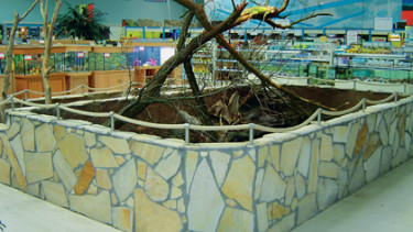 Neuer Top-Markt im Großraum Berlin