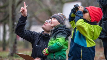 Große Rückgänge bei Spatzen