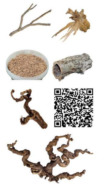Ergänzendes Bildmaterial