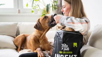 20.000 Hunde essen im Abo bei Tales & Tails