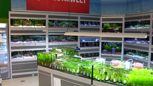 Die Zukunft der Aquaristik Die Zukunft der Aquaristik