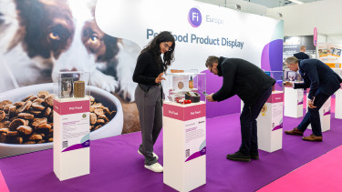 Einzigartige Plattform