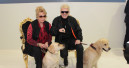 Heino rockt die Interzoo