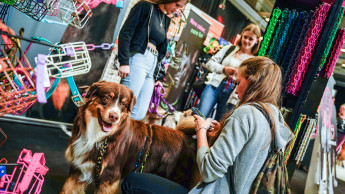 Haustier Aktuell & Exotica feiert 20. Ausgabe unter neuer Regie Haustier Aktuell & Exotica feiert 20. Ausgabe unter neuer Regie