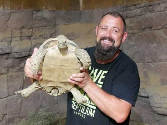 Reptilium in Landau, Zoodirektor Uwe Wünstel 
