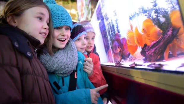 Mehr Besucher auf der Aqua-Fisch