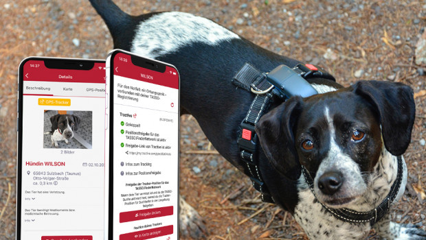 Die Tasso-App soll in Kooperation mit Tractive das Finden von entlaufenen Tieren noch einfacher machen.