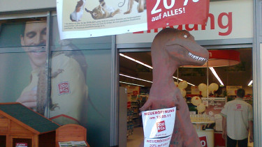 Sagaflor blickt auf ein positives 2011 zurück