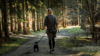 Hundeernährung zwischen Fakten, Trends und Emotionen