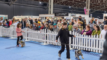 Hund, Katze, Nager, Aquaristik und mehr