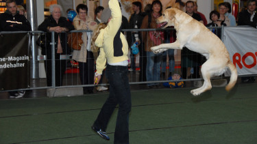 Dogdance in Dresden