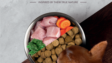 Mit Barf-Produkten in den Fachhandel