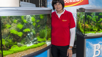 Zookauf relauncht Aquarien-Wettbewerb