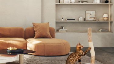 Fressnapf | Maxi Zoo führt eine neue Premium-Produktlinie ein