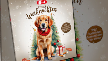 Lebkuchenhaus-Displays und neuer Adventskalender