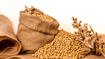 Fleischpreise könnten steigen