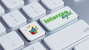 Über 150 Firmen haben sich schon angemeldet Über 150 Firmen haben sich schon angemeldet