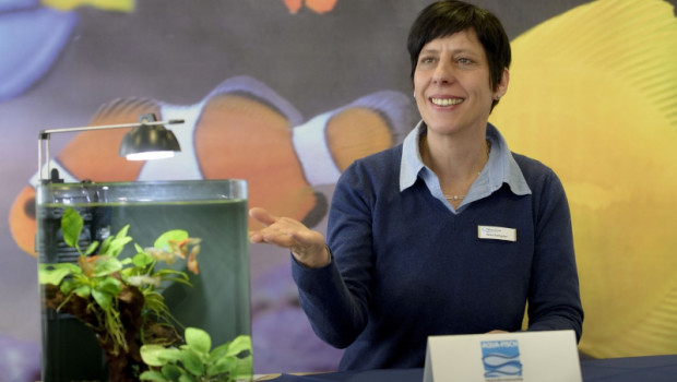 Aqua Fisch Aqua Fisch