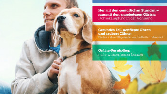 Neue Zoofach-Aktuell von Bayer Neue Zoofach-Aktuell von Bayer