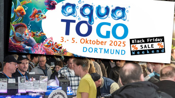 Neue Aquaristikmesse in Dortmund