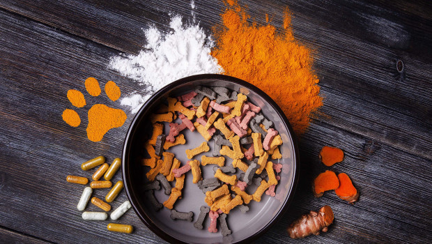Die L-Cystein-basierenden Lösungen für Tiernahrung von Wacker eignen sich für verschiedene Anwendungen wie Flüssigkeiten, Produkte zum Kauen, Tabletten oder Pulver. Die L-Cystein-basierenden Lösungen für Tiernahrung von Wacker eignen sich für verschiedene Anwendungen wie Flüssigkeiten, Produkte zum Kauen, Tabletten oder Pulver.