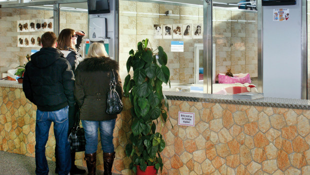 2012 startete Zoo Zajac mit dem Hundeverkauf.