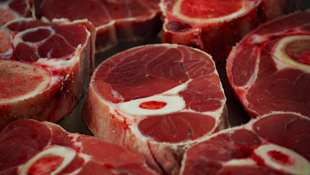 Von den sinkenden Fleischerzeugnissen ist auch die Heimtiernahrungsbranche betroffen.