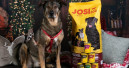 Josera setzt Tierheimkampagne fort